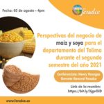 Fenalce Invita